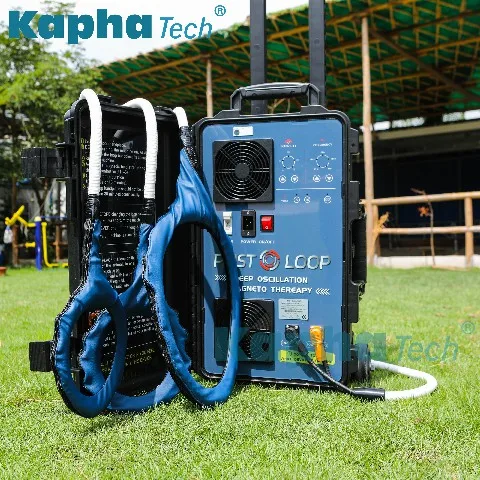 إعادة التأهيل لعلاج الحصان العلاج الطبيعي المغناطيسي للحصان