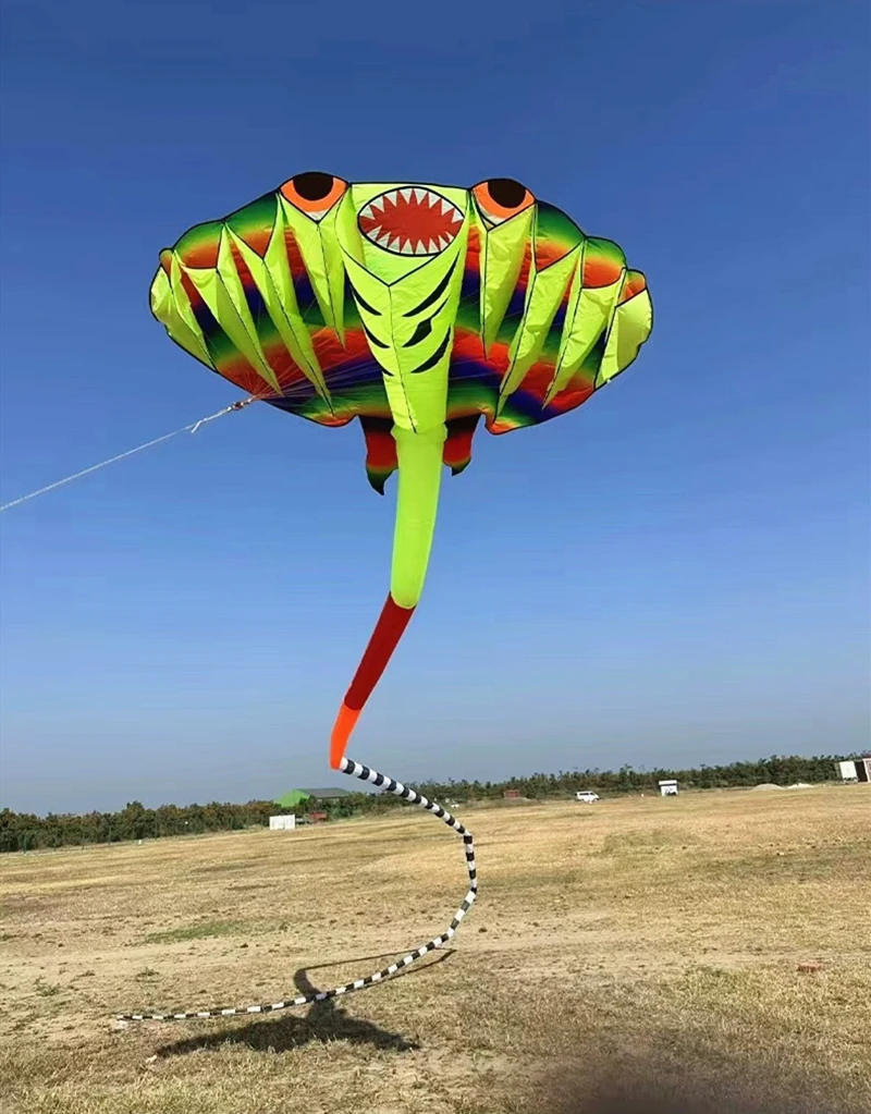 大人のための巨大な空飛ぶ魚の凧,楽しい屋外ゲーム,柔らかいパラシュートの凧を持ち上げる,無料配達