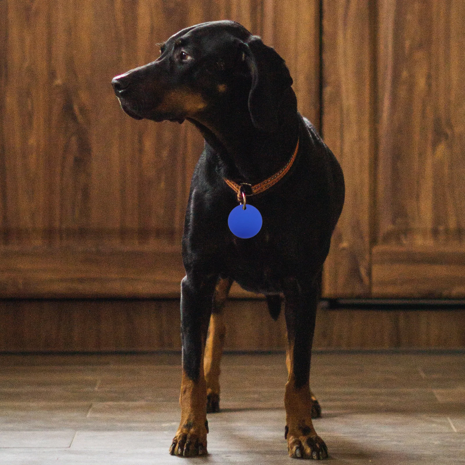 

25Pcs Aluminum Round Tags for DIY Pet Name Id Collar Pendants Unfinished Dog Tags Blank Dog Tag Blank Aluminum Round Pendant