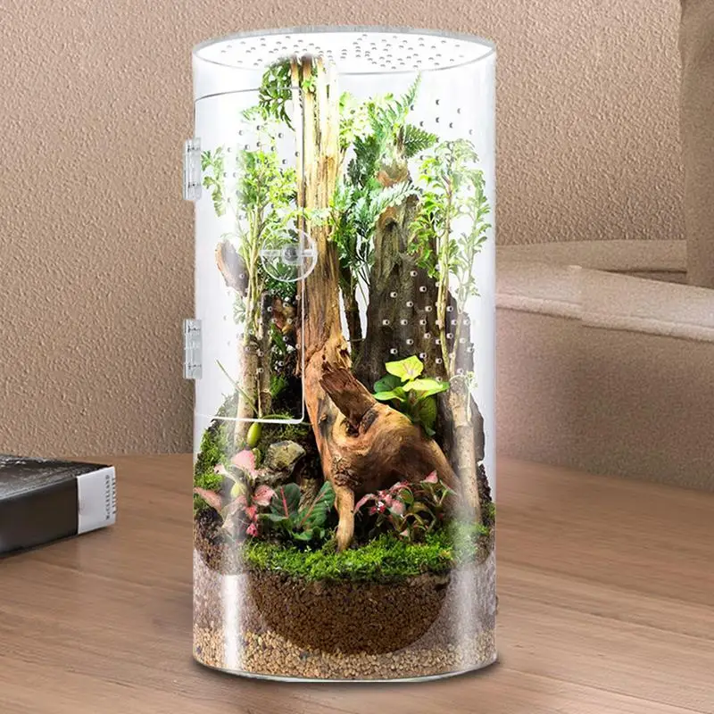 

Reptile Terrarium Transparent Feeding Tank Acrylic Breeding Box for Jumping Spider Tortoise Lizards Cylindrical Habitat Cage