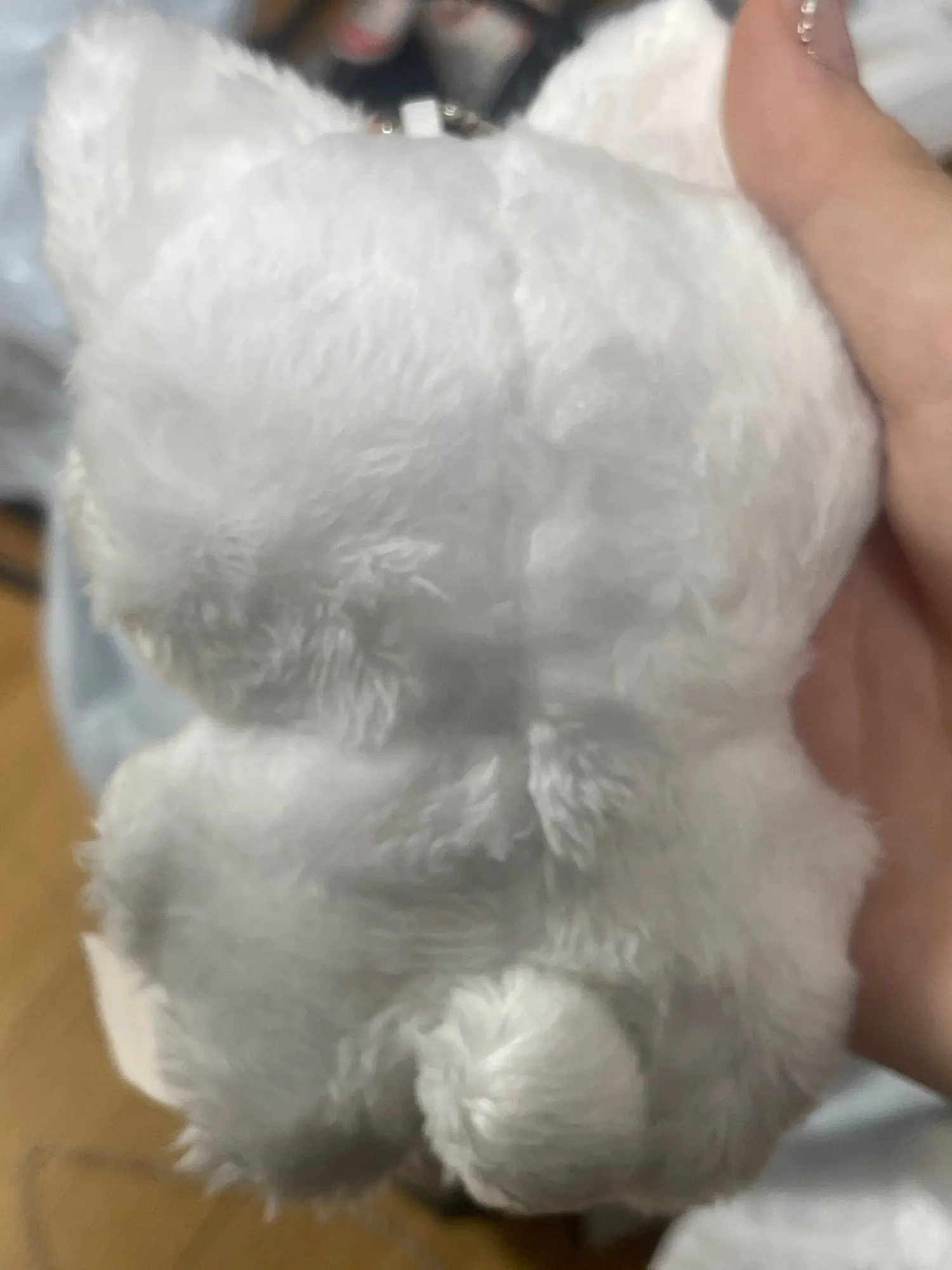 리뷰 사진