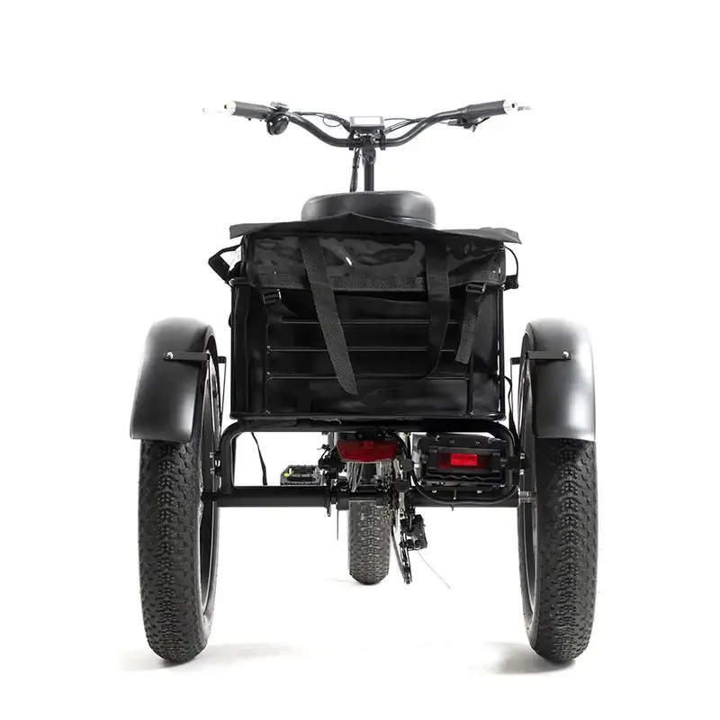 

Long Range Electric Bike Trike 750W Bafang Electric Cargo Bike Fast Electro Tricycle For USA Stock