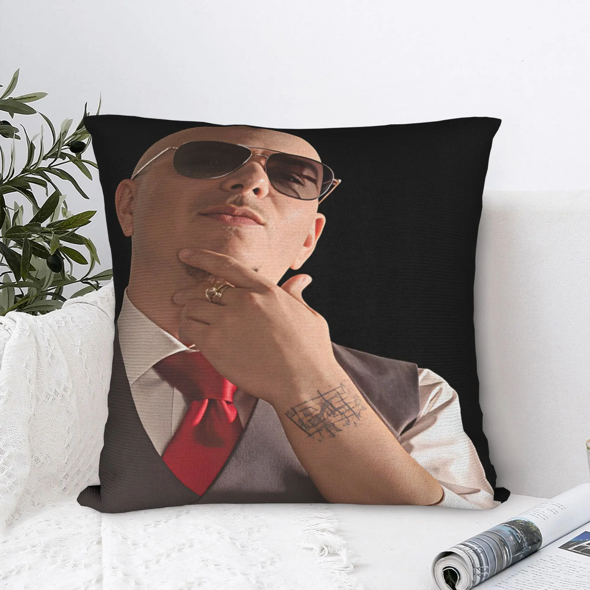 Pitbull Mr Worldwide Tour Pillow Case  Graphic Pillow Cover For Living Room Bed Chair Kawaii Cushion Cover