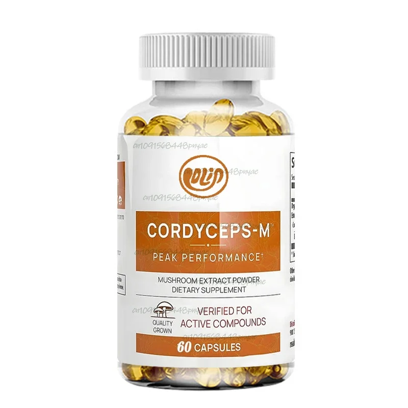 

Капсулы Cordyceps Sinensis — высокопроизводительная добавка с экстрактом гриба, вегетарианская добавка с иммунитетной поддержкой, 60 капсул
