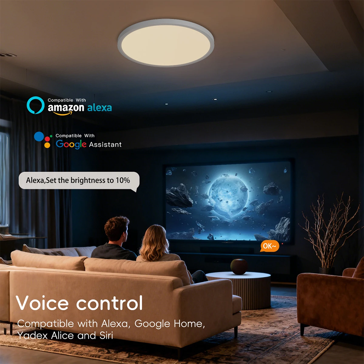 مصباح سقف ذكي واي فاي RGB + CCT LED تركيبات إضاءة السقف متوافقة مع Alexa Google Home 16 مليون متعدد الألوان 3000-6500K