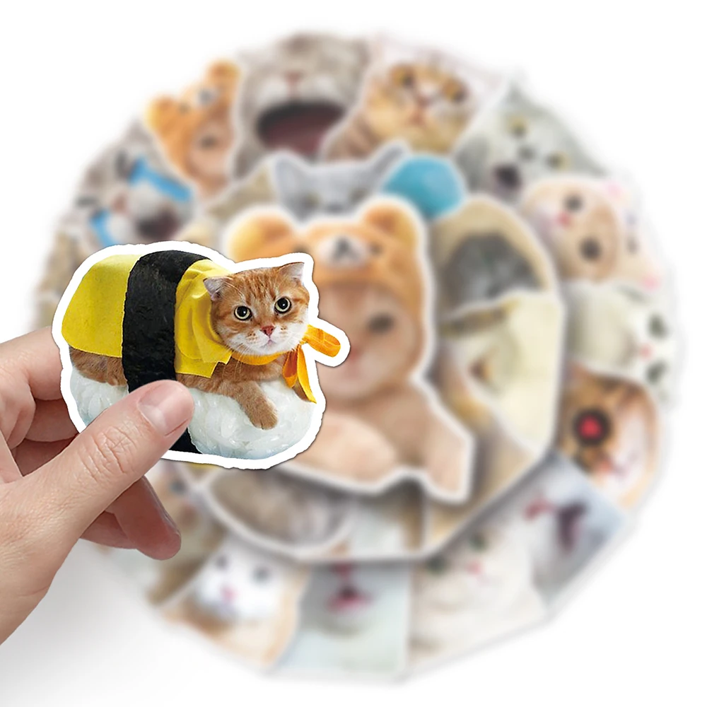 10/30/50pcs Cat Stickers Cartoon Meme Animals Funny Decals Toys DIY Scrapbook Skateboard Laptop Phone Bike Kawaii Kids Sticker