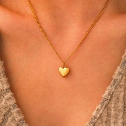 Stainless Steel Necklaces Ornate Luxuries Heart Pendant Chain New Senior Necklace For Women Jewellery Wedding Anniversary Gifts