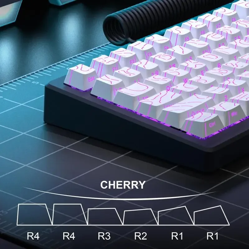 Nieuwe topografische keycaps 4.0-versie Shine Through 98-toetsen PBT Cherry Profile Side Print Backlit voor MX Gamer mechanisch toetsenbord