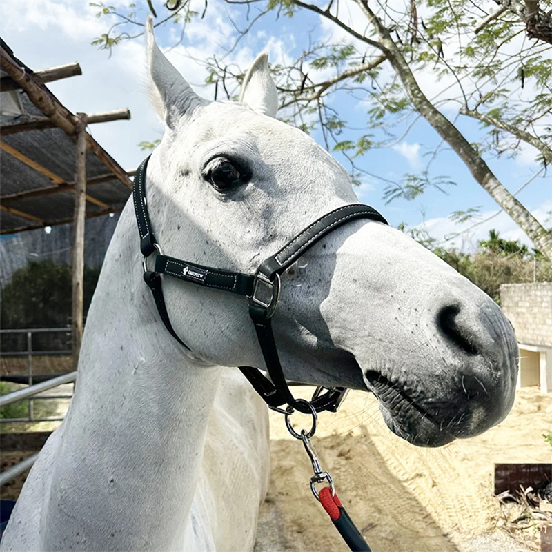 PU Leather Horse Bridle Headstall – Adjustable Equestrian Pony Bridle Set Horses – Durable Riding Tack Accessories