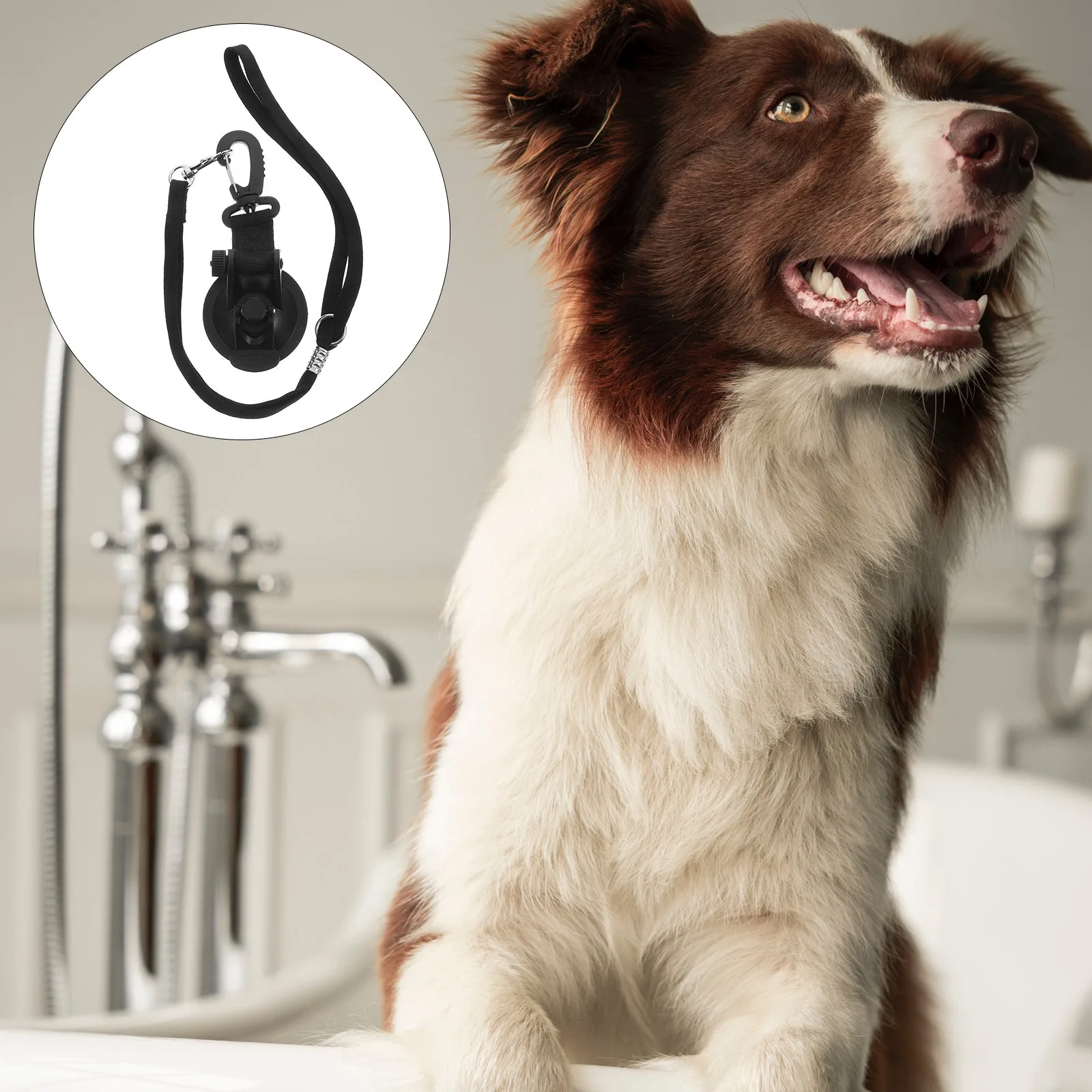 

Adjustable Dog Bathing Tether Suction Cup Pet Grooming Tub Restraint Loops Black Soft Comfortable Versatile Use for All Sizes