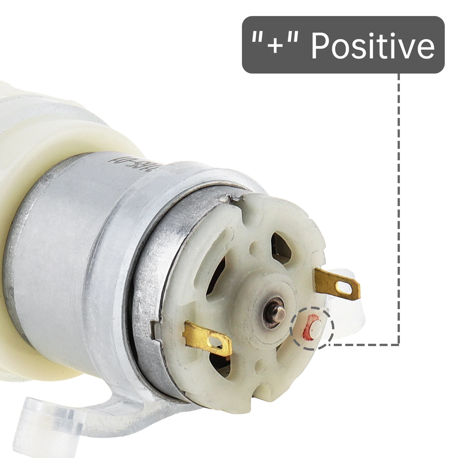 Micro Water Pump 365 DC Motor 12V Self Priming Pump Large Flow 2- 3L/Min Silent Electric Diaphragm Pump for Water Dispenser view 4