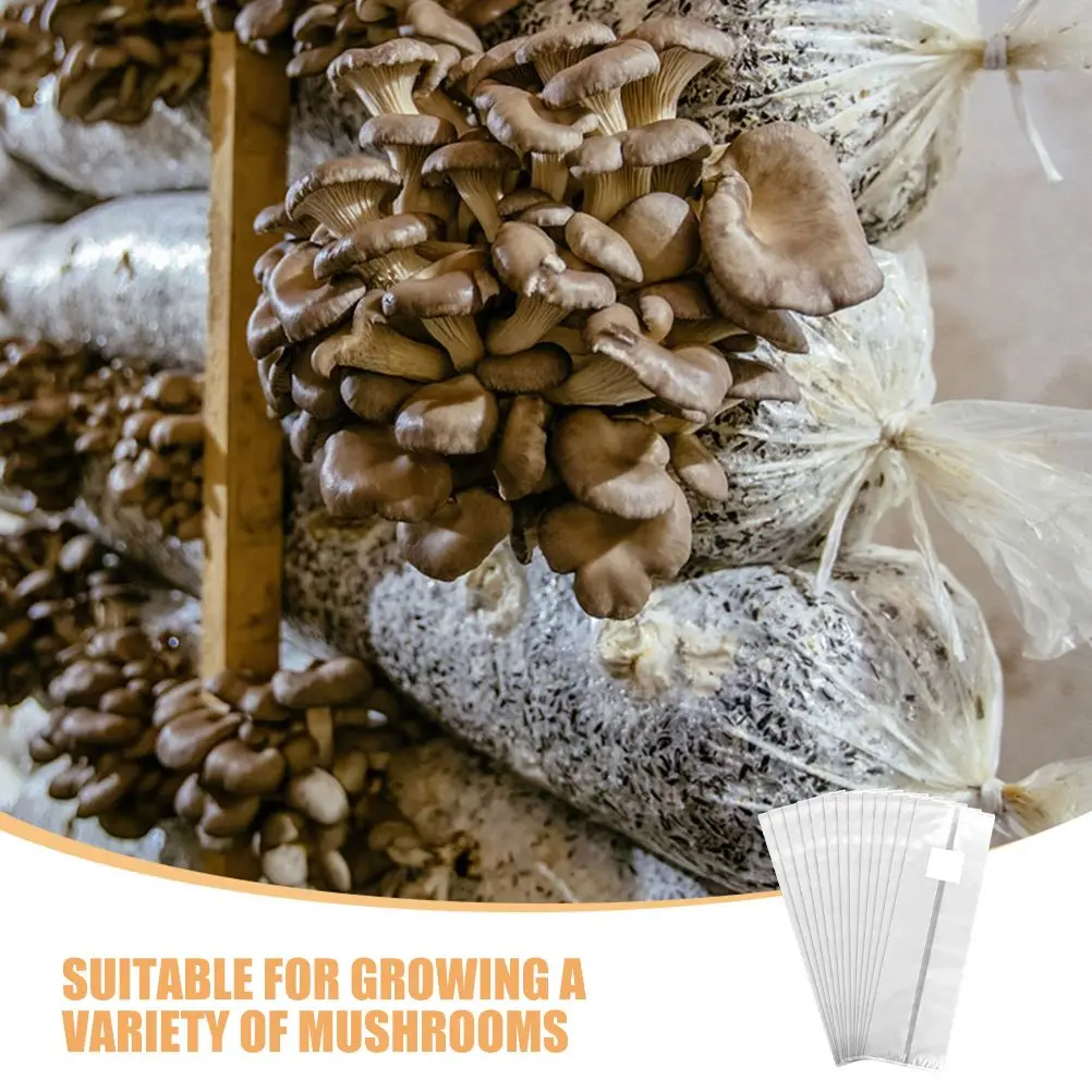 20 sacchetti per la coltivazione di funghi, kit per la raccolta della polvere, sacchetti per la raccolta di polipropilene