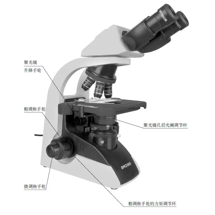 Binocular biological microscope, for scientific research plant sectioning