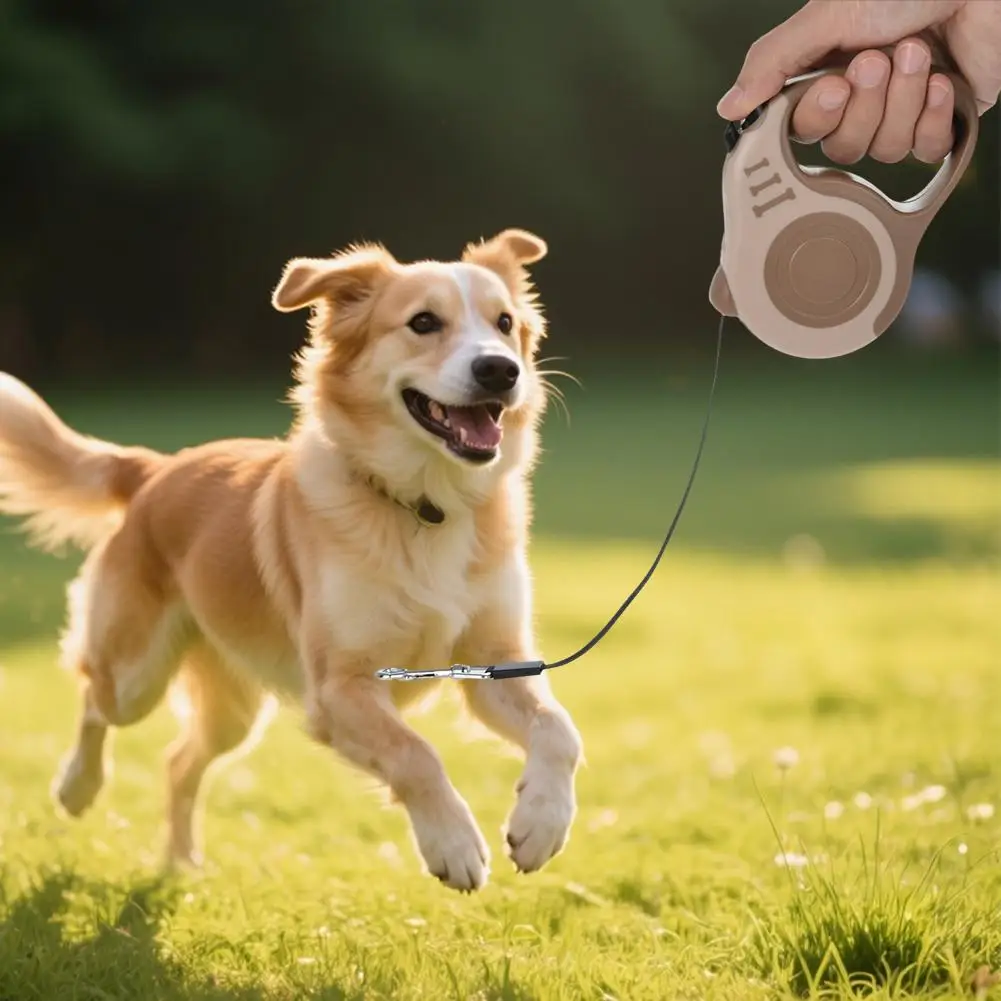 5m Dog Leash Retractable Roulette Collar For Small Big Dogs Accessories Adjustable Walking Hiking French Bulldog Rope