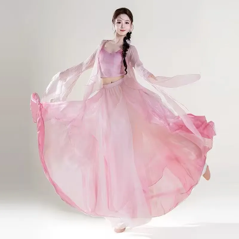 Classical Dancer Performance Costumes Chiffon Practice Dance Clothes Chinese Style Folk Dance Dress Stage Costume