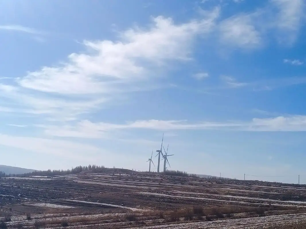 Подходит для чехла для хранения наушников и динамиков GO2/SONY WF-1000XM3/ Powerbeats Pro.