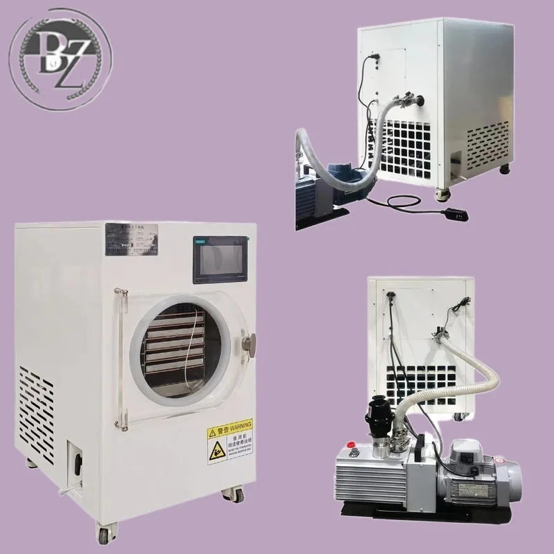 

3-5Kg Home Freeze 4-6Kg Packaging Dryer Fruit Commercial Lyophilizer Dry Hine Vacuum Price