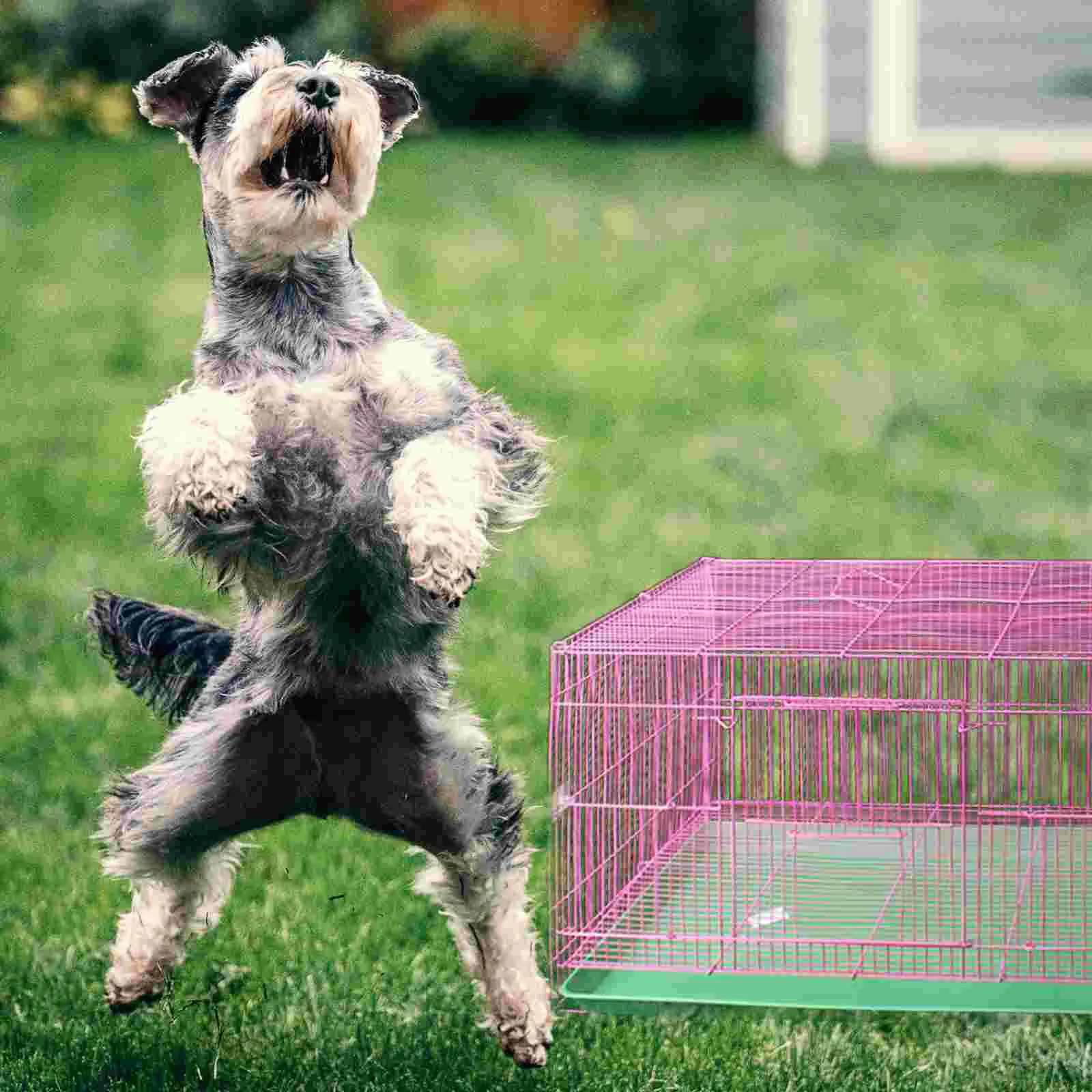 Jaula de inodoro para mascotas, accesorio de orinal para pollito, suministros para el hogar, bandeja para excrementos de animales pequeños y conejos, perrera para perros grandes