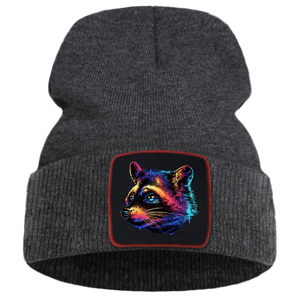 3D Cool Oil Paint Raccoon Balaclava Women\'S Hat For Girls Knitted Hats Aesthetic Streetwear Punk Hip Hop Winter Men Beanie Cap