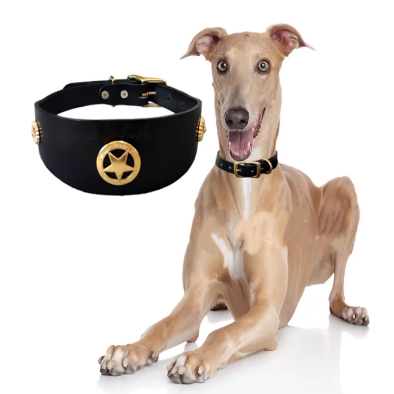 

Greyhound Soft Cowhide Dog Collar Traction Set Personalized design Husky Labrador Golden Retriever Medium Large Dog Collar