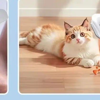 

Холодное лазерное обезболивающее устройство с двойной длиной волны, беспроводное и портативное для домашнего использования, лазерная терапия 650 нм 808 нм