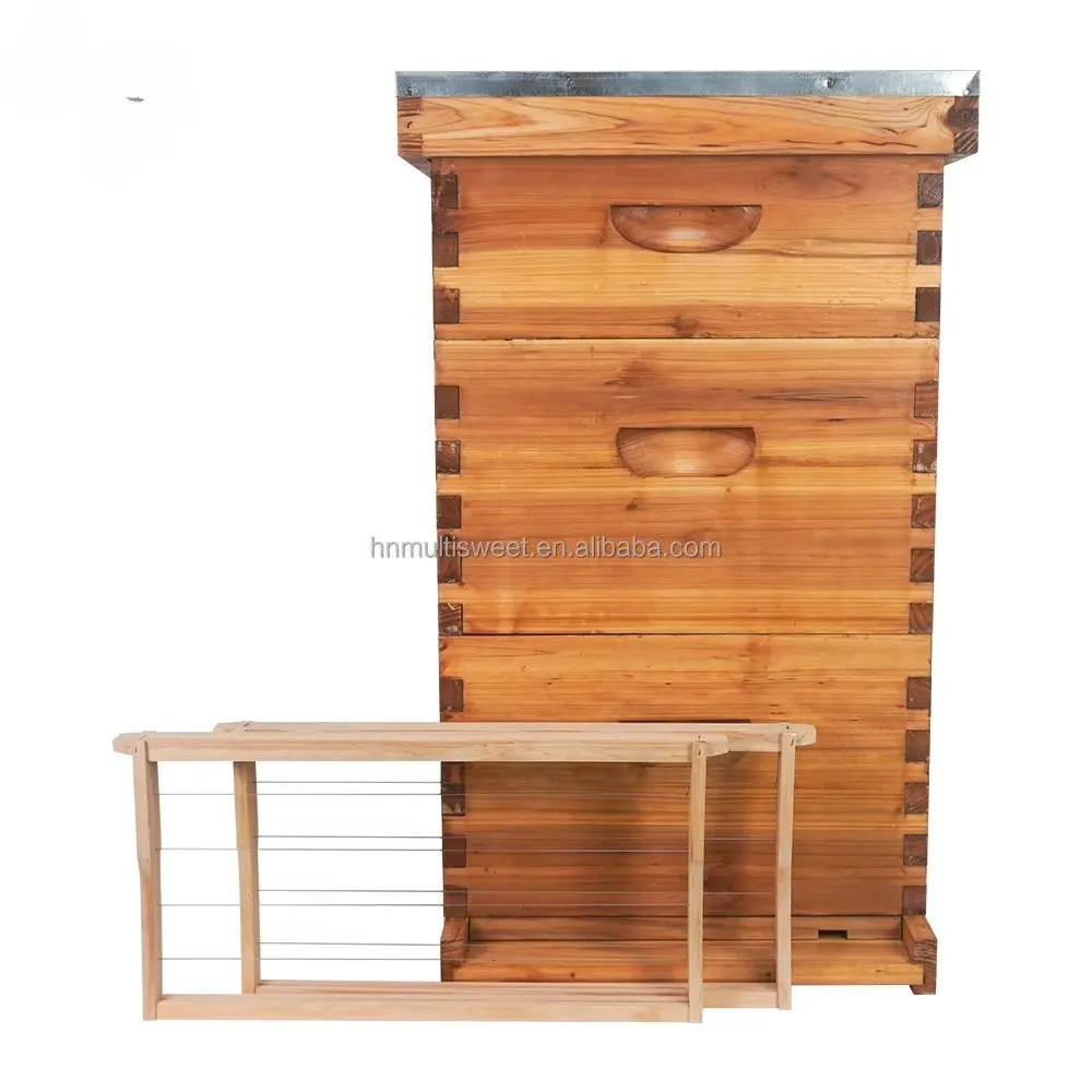 

3 Layers Wax Dipped 10 Frame Langstroth Beehive, Flat Pack Bee Hive Boxes with Frames