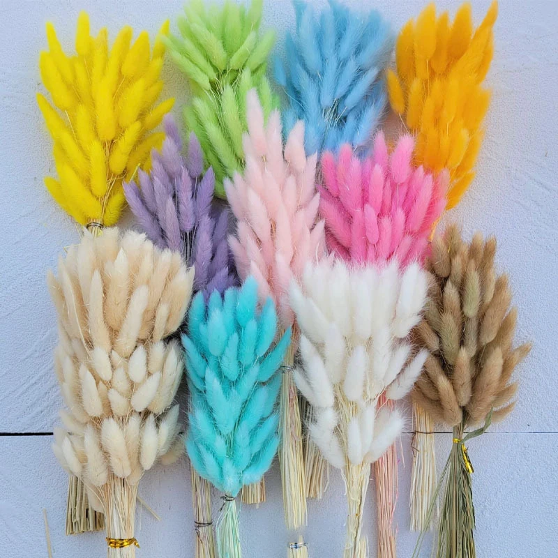 100PCS Lagurus Ovatus Rabbit Tail Dried Flowers Real Flower Eternal Flower Wedding Party Home Garden Arrangment Accessories