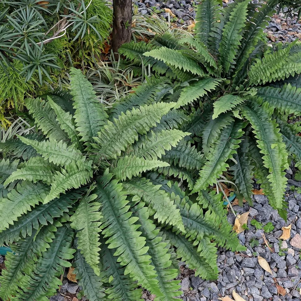 Large Artificial Ferns for Outdoor 51