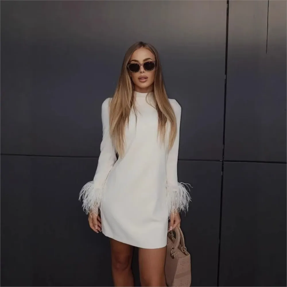 เดรสผู้หญิงทรงเข้ารูปแฟชั่นฤดูใบไม้ร่วงฤดูหนาวใหม่ ปี 2025 แต่งขนนก แขนยาว ตัดต่อ ดีไซน์หรูหรา เหมาะสำหรับใส่ทำงาน