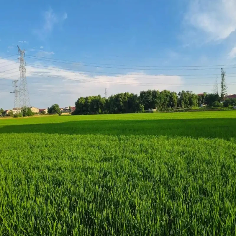 

T-MOTOR CINE66 2812 925KV 1155KV 4-6S Brushless Motor for Multirotor RC Aircraft X-class Chinese Lifting FPV Drone DIY Parts