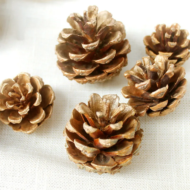 10PCS/lot Multi Size Natural Pine Cones Kindergarten Props DIY Christmas Festival Decoration Material