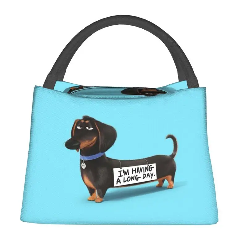 Custom Kawaii Dachshund Thermal Insulated Lunch Bag Sausage Badger Wiener Dog Portable Lunch Container for Camping Meal Food Box