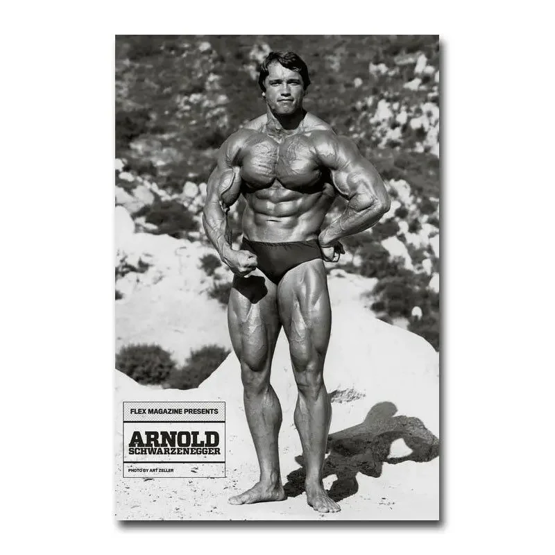 Arnold Schwarzenegger Bodybuilding 4 Silk Poster Wall Sticker Decoration Gift