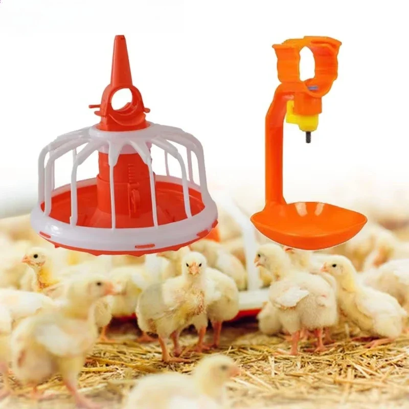 New conditions Indoor free-range automatic poultry feeder and beverage dispenser High-efficiency chicken farm equipment