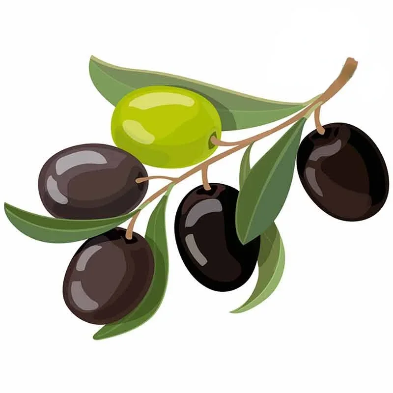 

Наклейки с узором в виде оливковых фруктов на мотоцикл, стильные Автомобильные изделия, наклейки, аксессуары для украшения, внешние детали, наклейки из ПВХ милые,