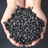 100g Natural Shungite Gravel Stone Crystal Quartz Chakras Healing Crystals Lucky Gemstone Mineral Water Cleaner Home Decoration