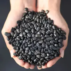 100g Natural Shungite Gravel Stone Crystal Quartz Chakras Healing Crystals Lucky Gemstone Mineral Water Cleaner Home Decoration