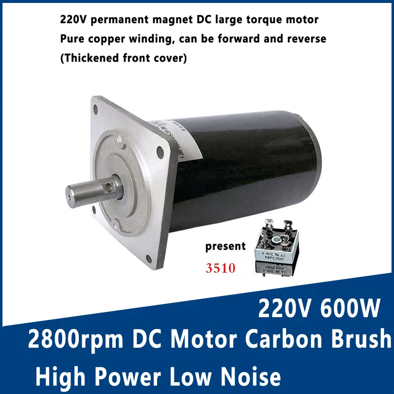 220V 600W 2800rpm DC Motor Carbon Brush High Power Low Noise High Torque Double Bearing Stirring Motor CW CCW