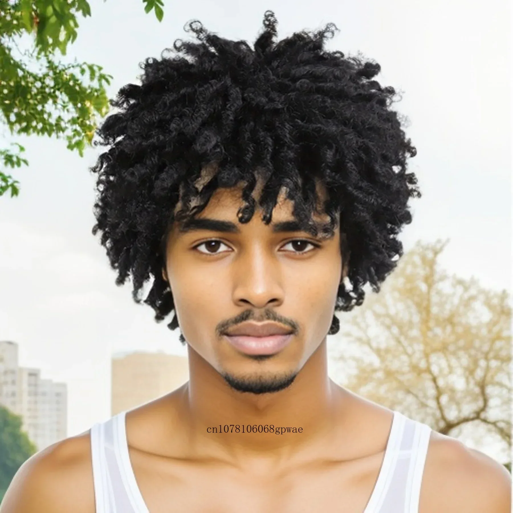 Synthetic Dreadlocks Wig for Men Male Braided Black Wigs Locs Crochet Twist Hair Afro Curly Wig Natural Looking Hip Hop Daily