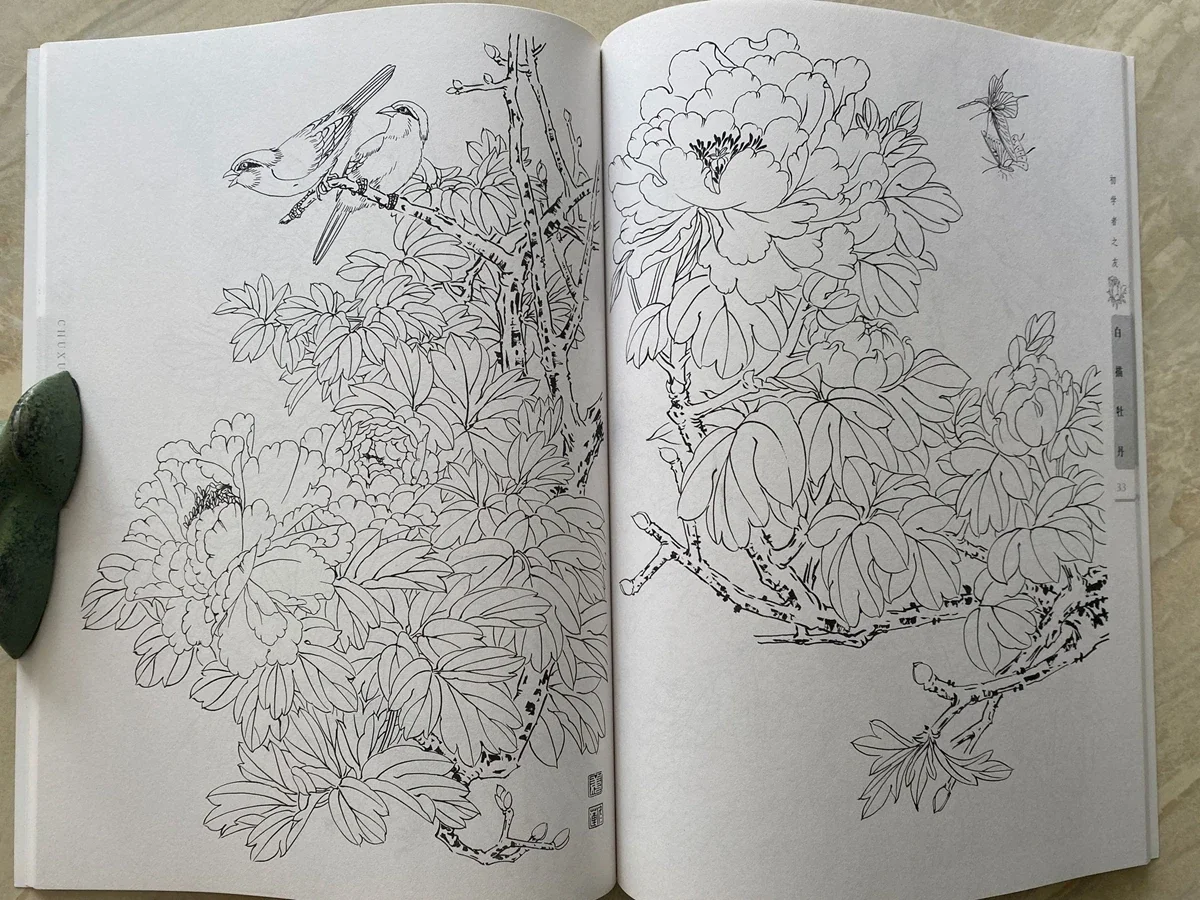 Chinese Painting Sumi-e Beginner Outline Sketch Tattoo Reference Book Peony Line Drawing
