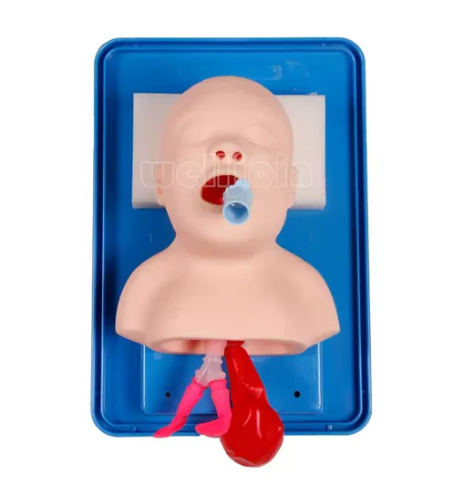 Neonatal/Infant Tracheal Intubation Model Analog Double Lung and Oral and nasal airway Tracheal Intubation Simulator Teaching