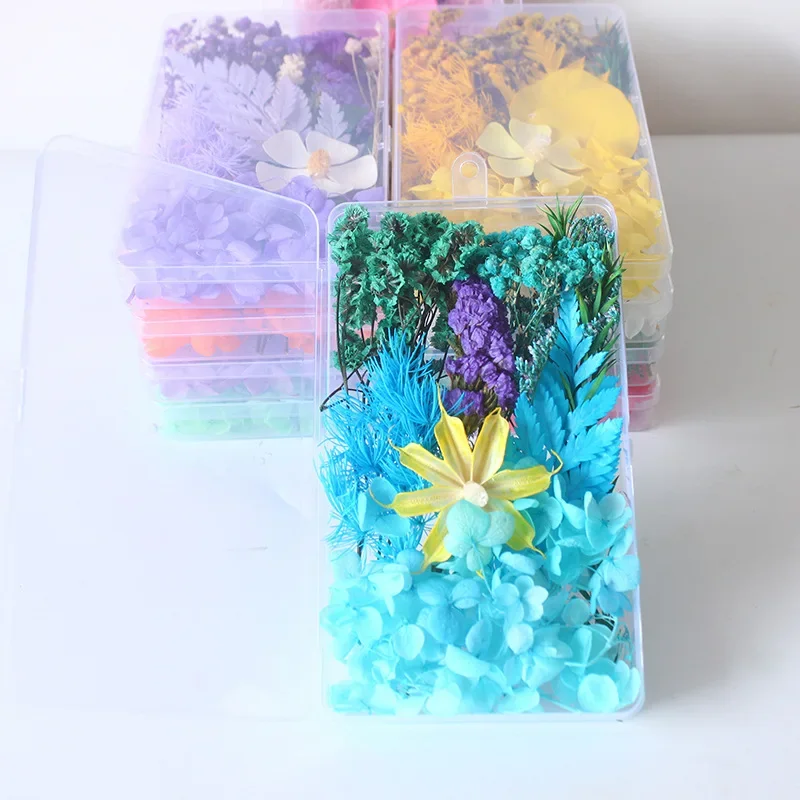 Confezione in scatola di fiori secchi Borsa in materiale per fiori eterni Cornice fai-da-te Bottiglia di vetro Colla a goccia Produzione artigianale di fiori reali fatti a mano