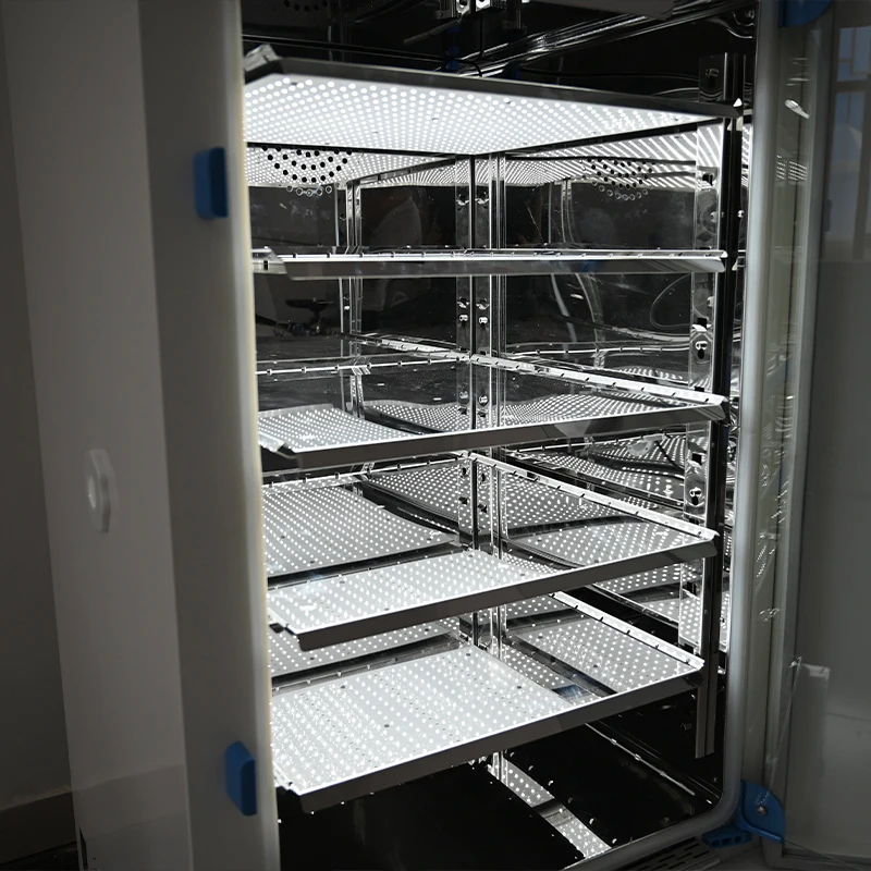 80L large intelligent safety laboratory incubator with artificial climate incubator