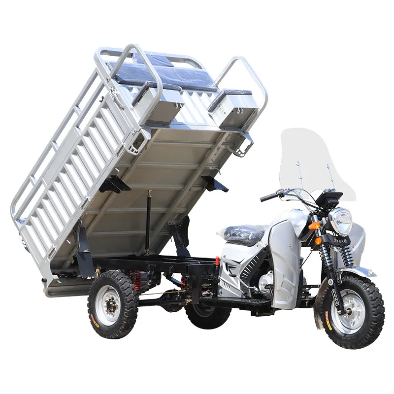 Manufacturer Direct Sales Silver Color Motorized Open Body Cargo Electric Tricycle with 300kg Capacity and High-Speed