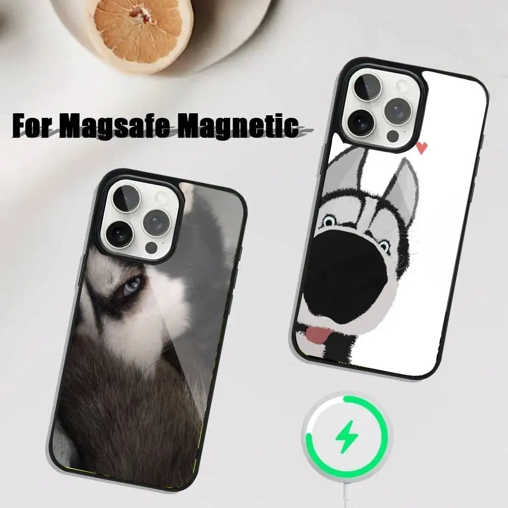 

Husky funny Phone Case For iPhone 16,15,14,13,12,11,Plus,Pro,Max Mini Magsafe Magnetic Wireless Charging