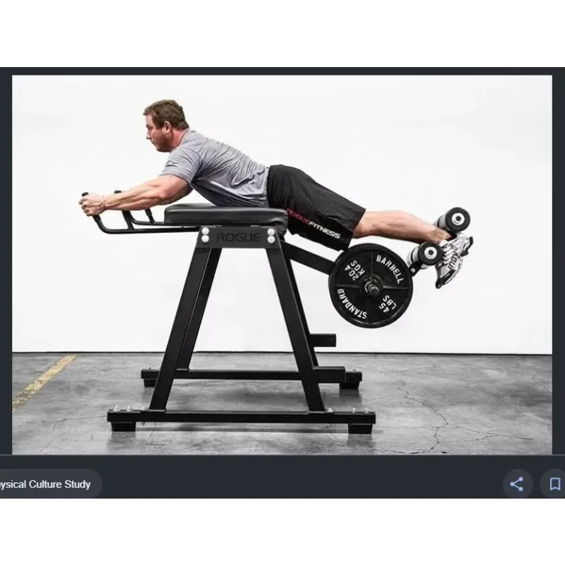 wholesale best quality free weight sport machine fitness equipment Reverse hyper extension machine