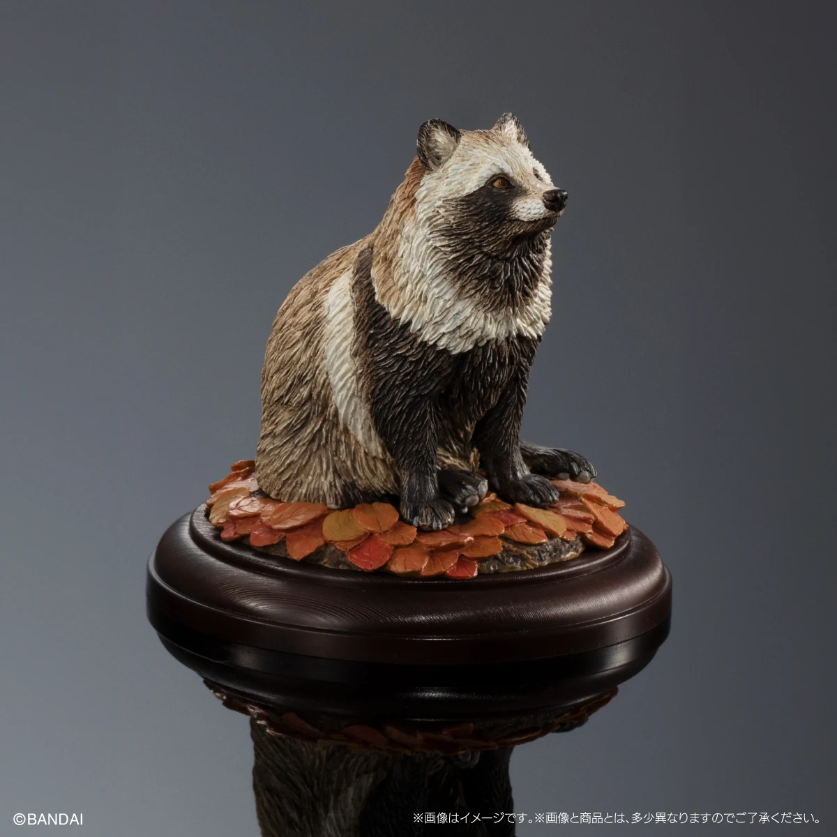 BANDAI Biological Encyclopedia Action Figures Model Canine Shaped Ornaments Wolf Red Fox GASHAPON Official Genuine Ornament