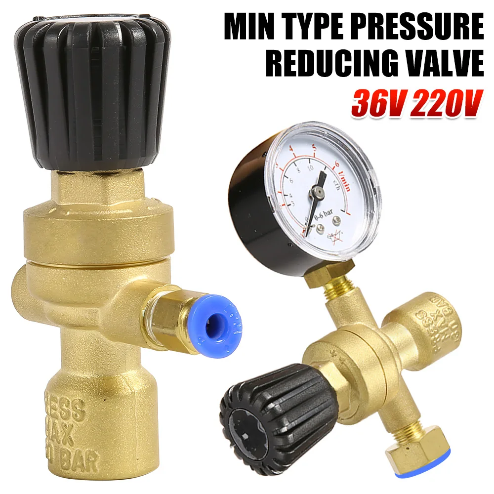 Mini Gas Bottle Pressure Regulator 36V 220V Pressure Reducer Pressure Meter Beer Regulator for Argon CO2 Bottle