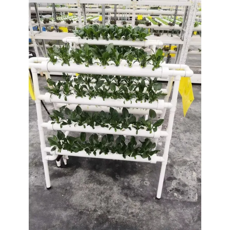 Indoor Hydroponic NFT System Planting Vegetables Double Sides