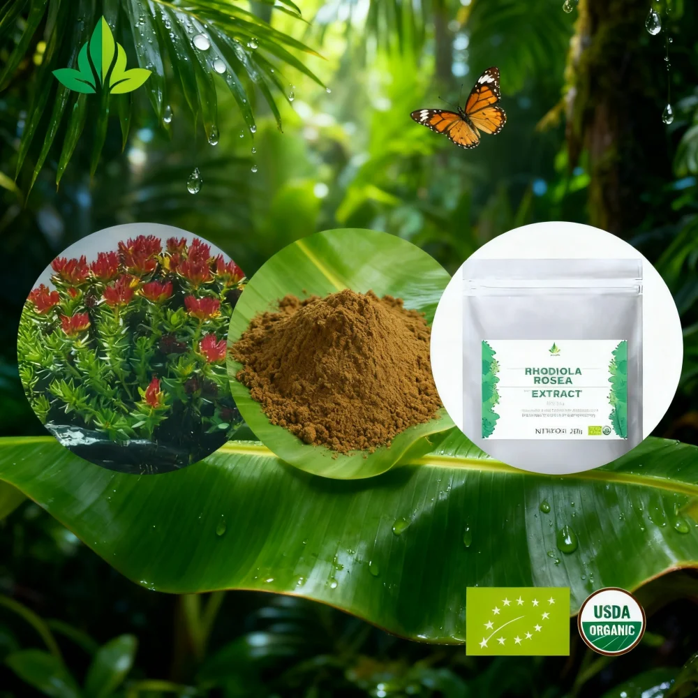 AliExpress vendas diretas da fábrica saco selado embalagem personalizada Rhodiola Rosea Extrato 20:1 entrega rápida global